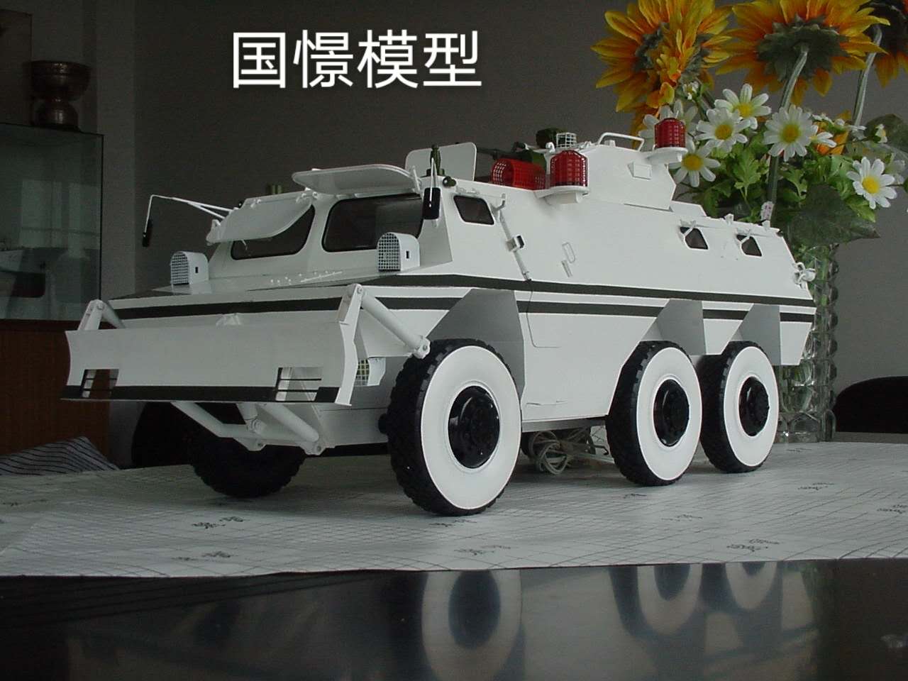 青田县军事模型